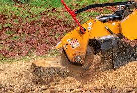Lawn Grading and Leveling in James Island, SC